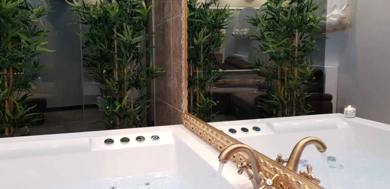 Central Business Apartments Jacuzzi Belgrade Extérieur photo